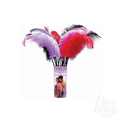 Fetish Fantasy  Love Plumes, 1 .