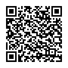    "  BIGSTUFF 16INCH DOUBLE DONG - 41 ."  