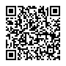    "- Qvibry Mini Vibe Memo, 12 ., "  