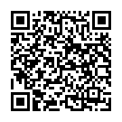    " POCKET ROCKET PLUS 376-06 BX DJ"  