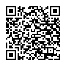    "  10Function Mini Bullet 10335005"  